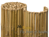 Bambus-Bonn Detailansicht  Bambusrollzaun Natur