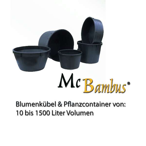 Bambus-Bonn: Container / Pflanzgefe in verschiedenen mit und ohne Lochung - Ort: Bonn